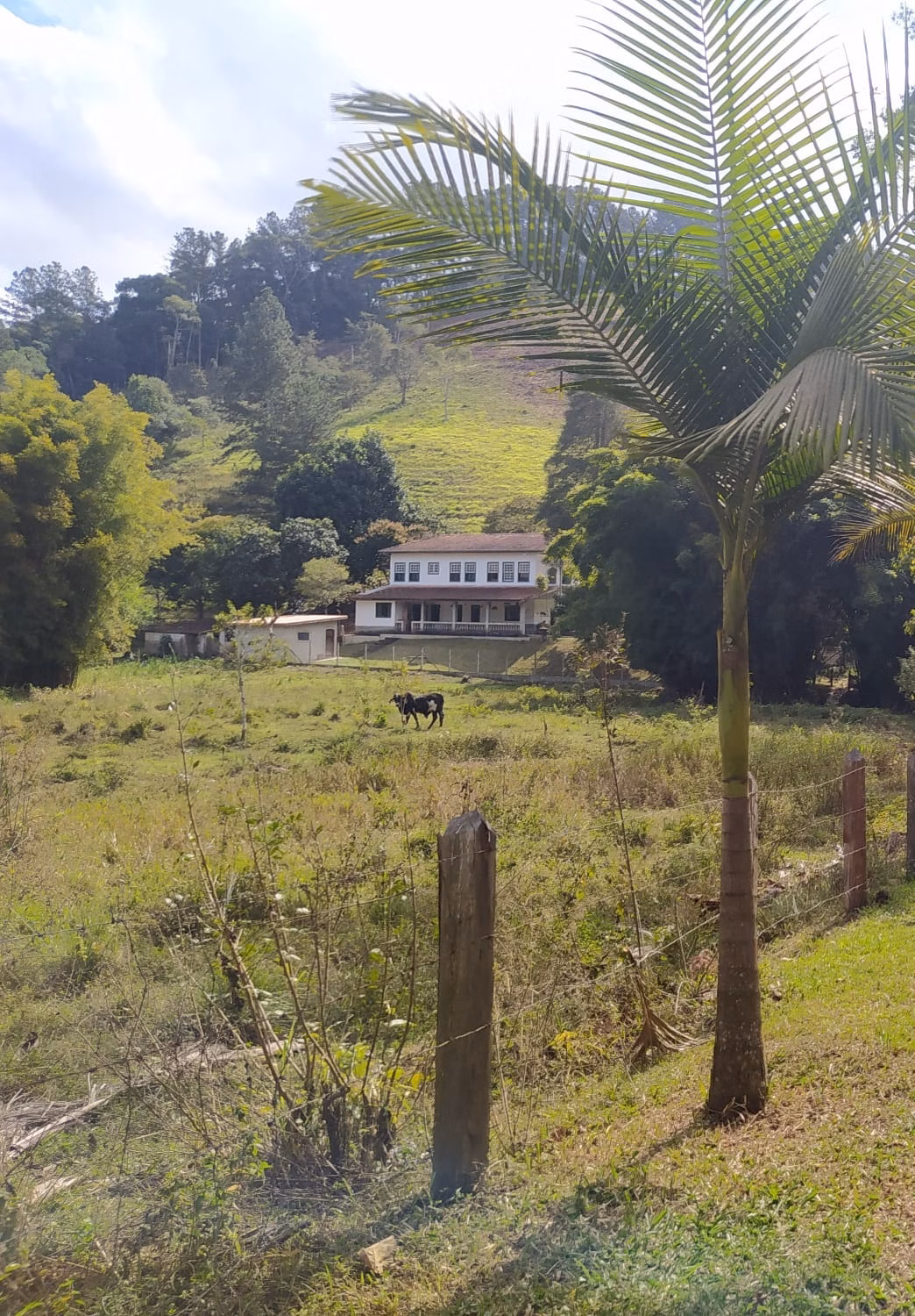 Small farm of 12 acres in São José dos Campos, SP, Brazil