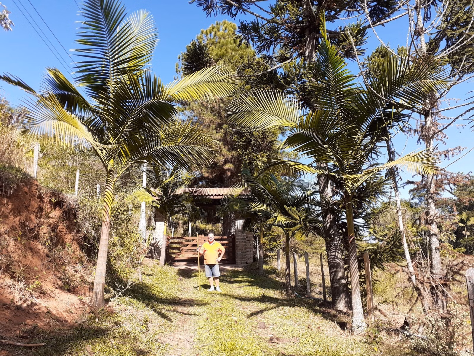 Small farm of 12 acres in São José dos Campos, SP, Brazil