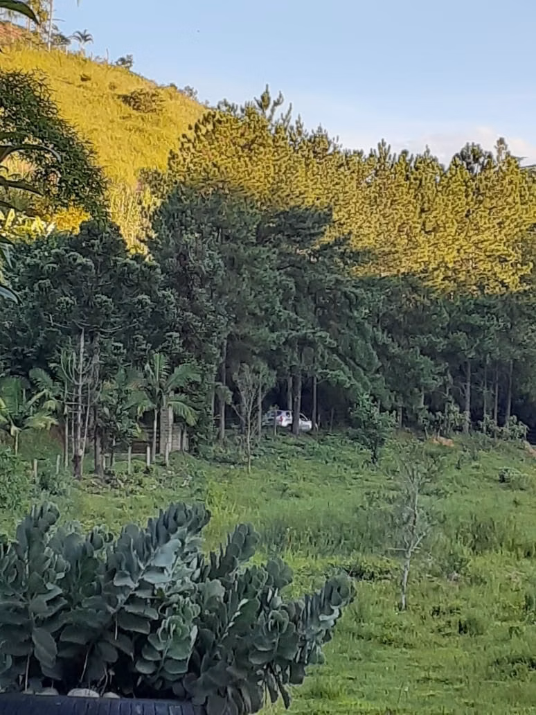 Small farm of 12 acres in São José dos Campos, SP, Brazil