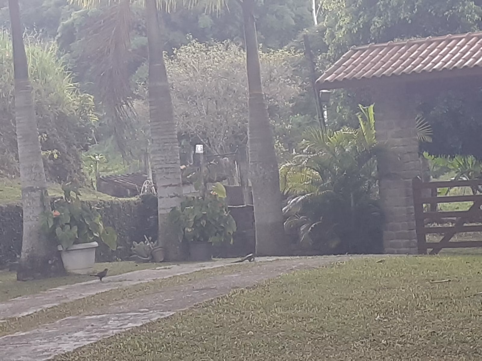 Sítio de 5 ha em São José dos Campos, SP