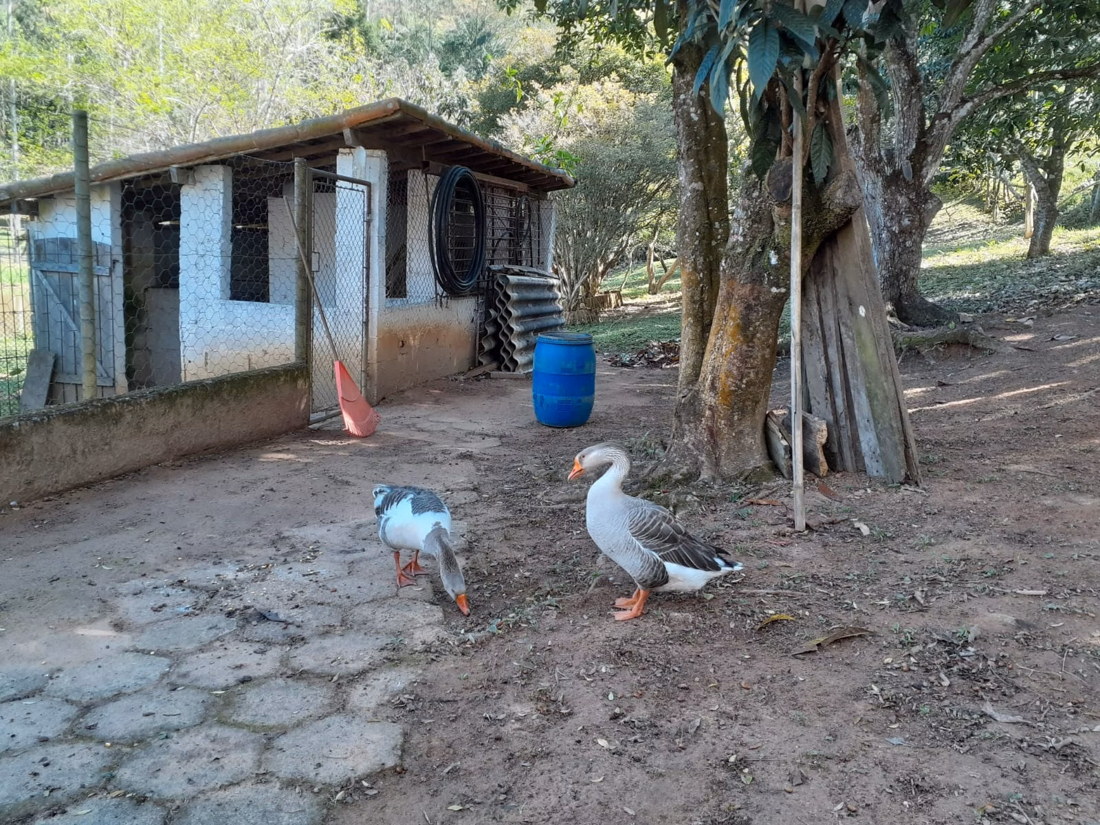 Small farm of 12 acres in São José dos Campos, SP, Brazil
