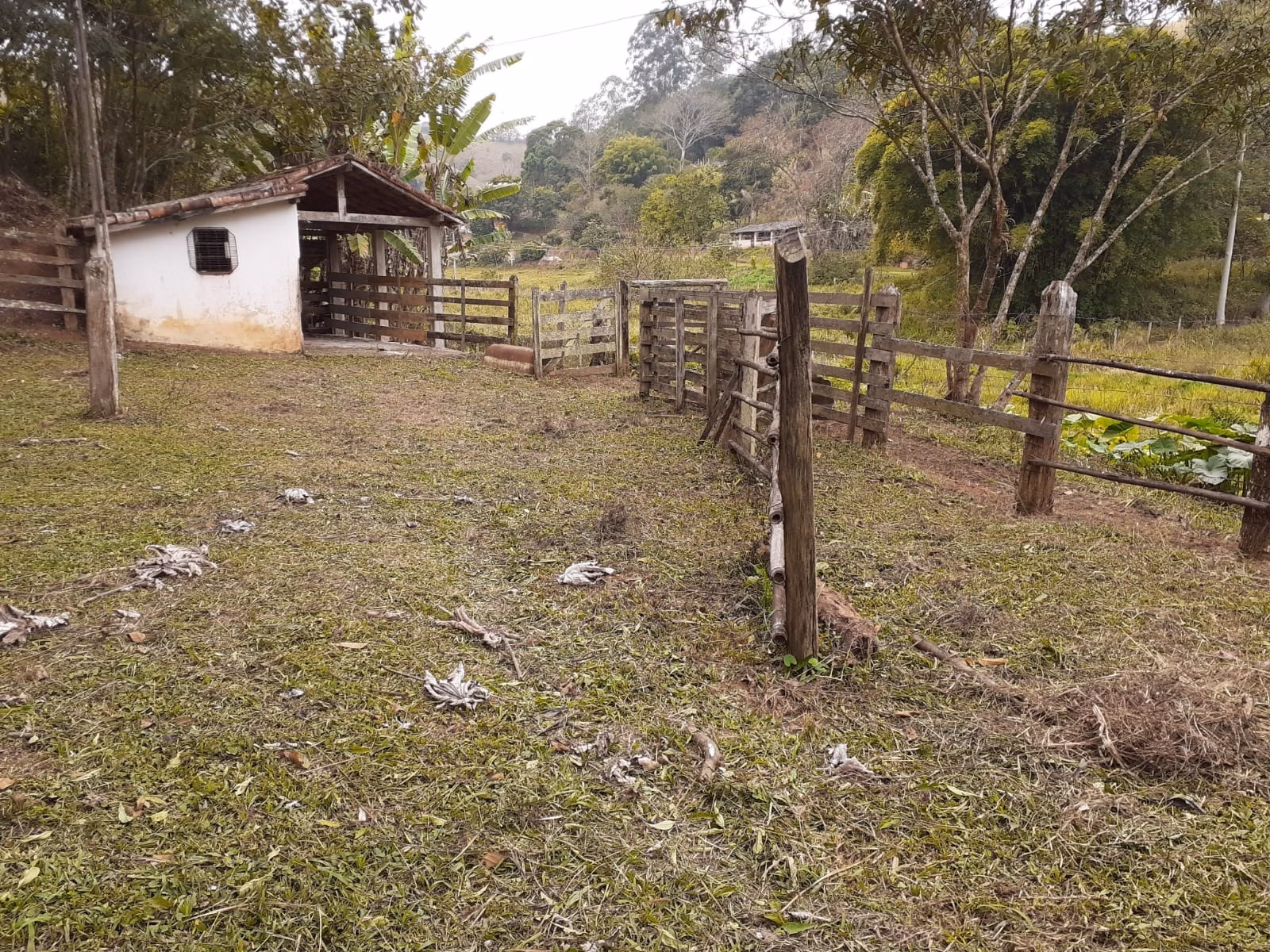 Small farm of 12 acres in São José dos Campos, SP, Brazil