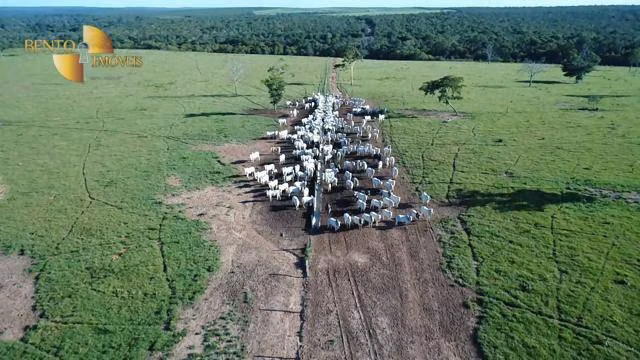 Fazenda de 6.280 ha em Paranatinga, MT