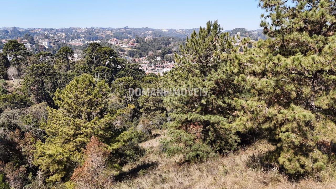 Plot of 1,270 m² in Campos do Jordão, SP, Brazil