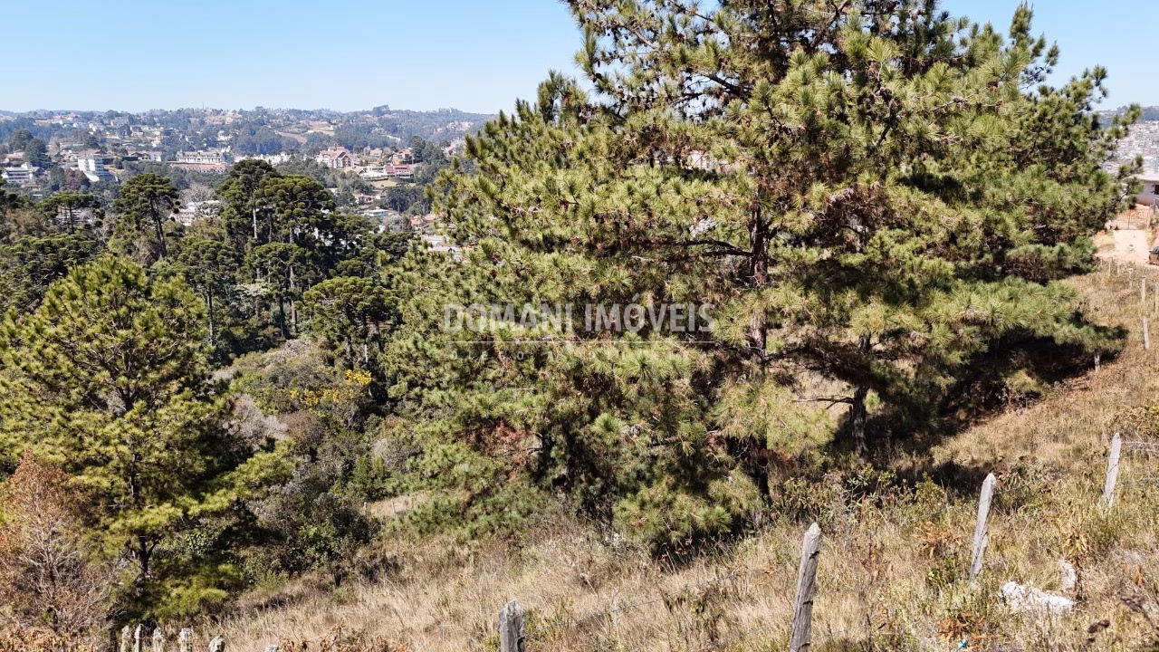 Plot of 1,270 m² in Campos do Jordão, SP, Brazil