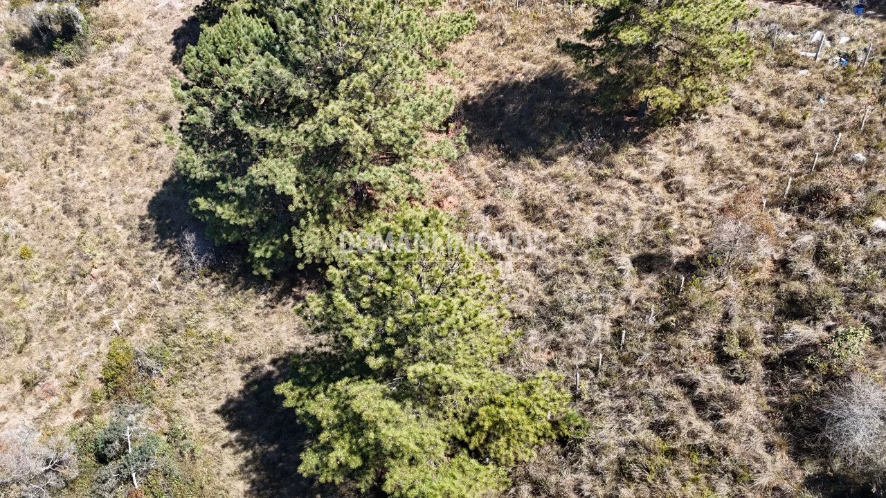 Plot of 1,270 m² in Campos do Jordão, SP, Brazil