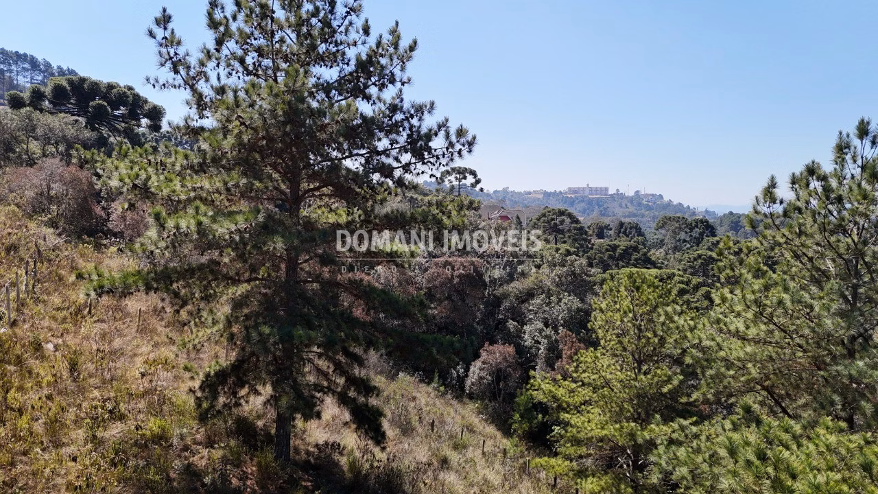 Plot of 1,270 m² in Campos do Jordão, SP, Brazil