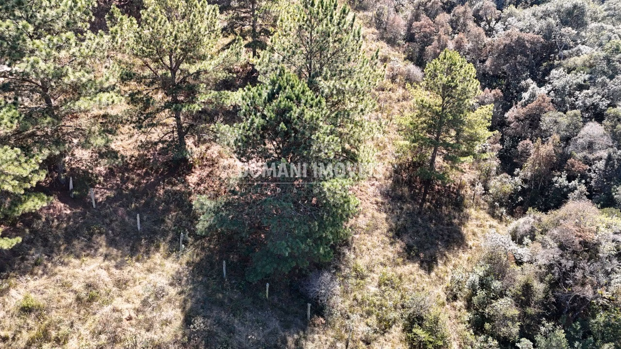 Plot of 1,270 m² in Campos do Jordão, SP, Brazil