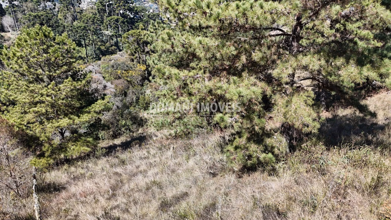 Plot of 1,270 m² in Campos do Jordão, SP, Brazil