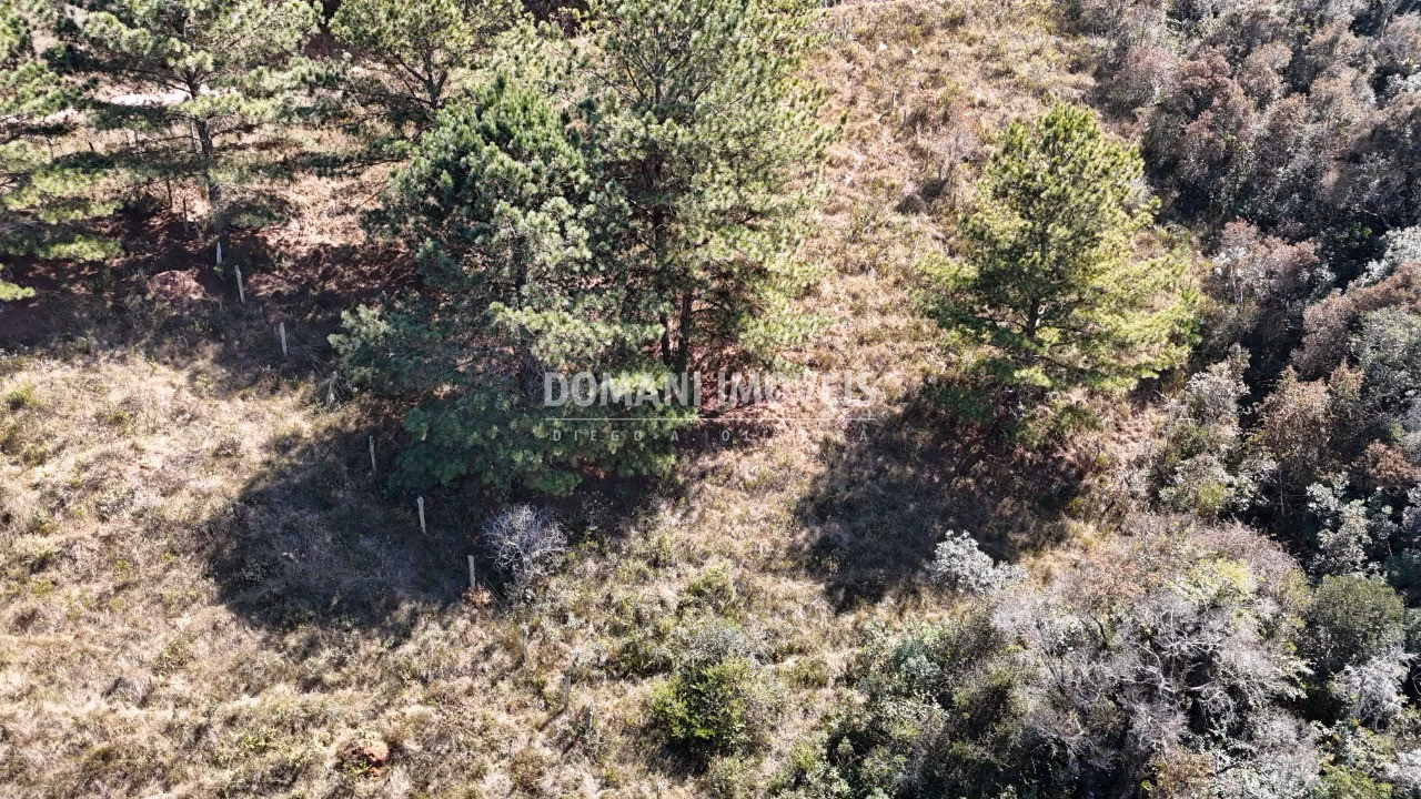 Plot of 1,270 m² in Campos do Jordão, SP, Brazil