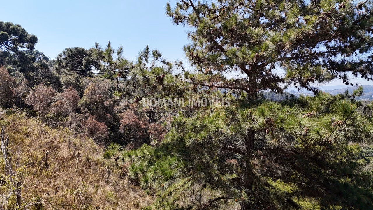 Plot of 1,270 m² in Campos do Jordão, SP, Brazil