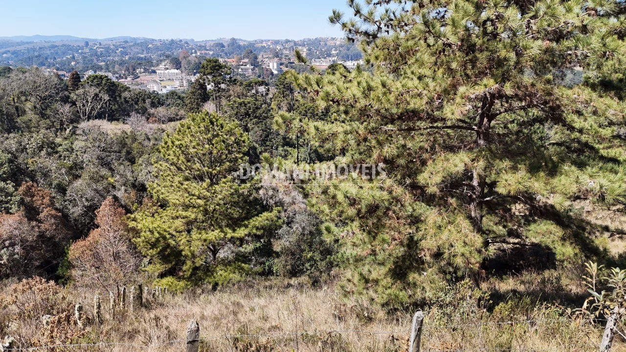 Plot of 1,270 m² in Campos do Jordão, SP, Brazil