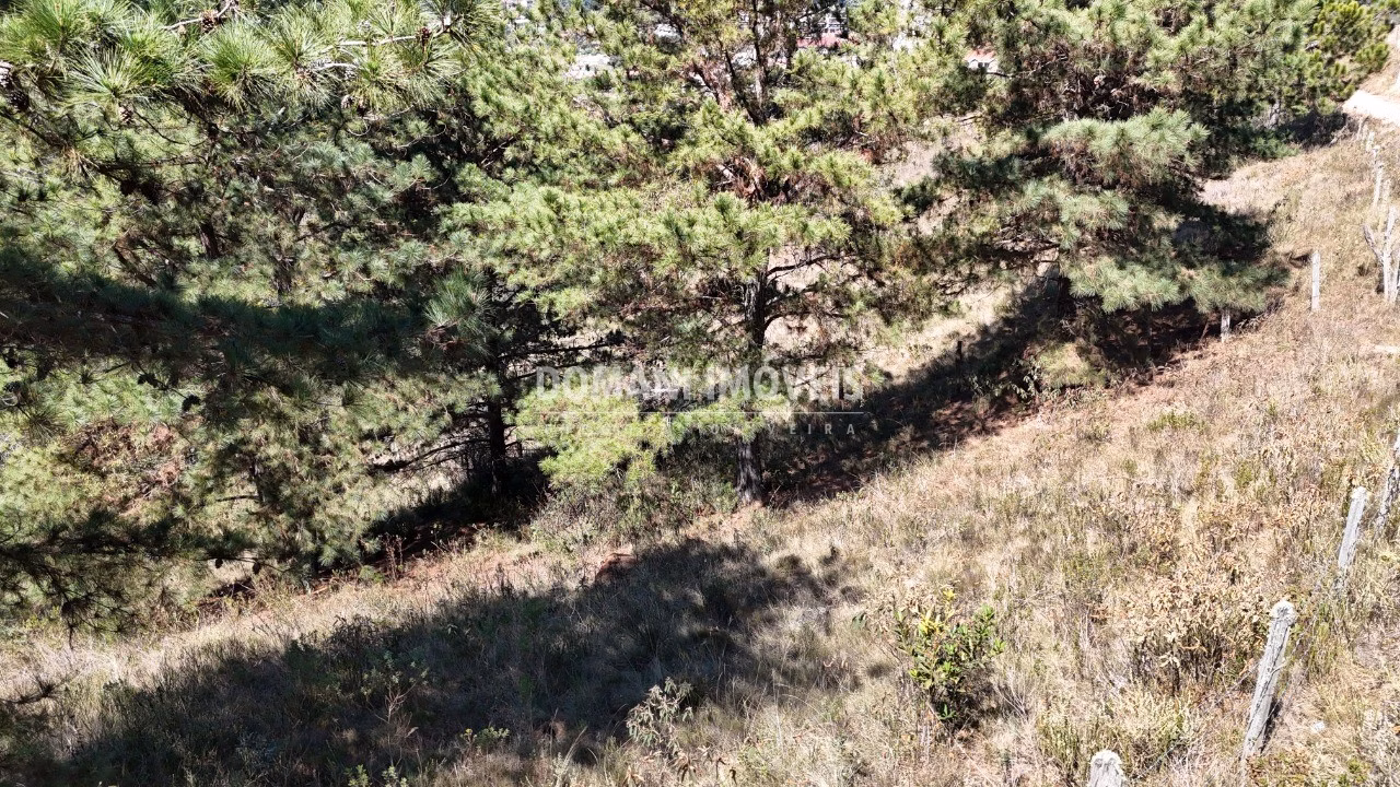 Plot of 1,270 m² in Campos do Jordão, SP, Brazil