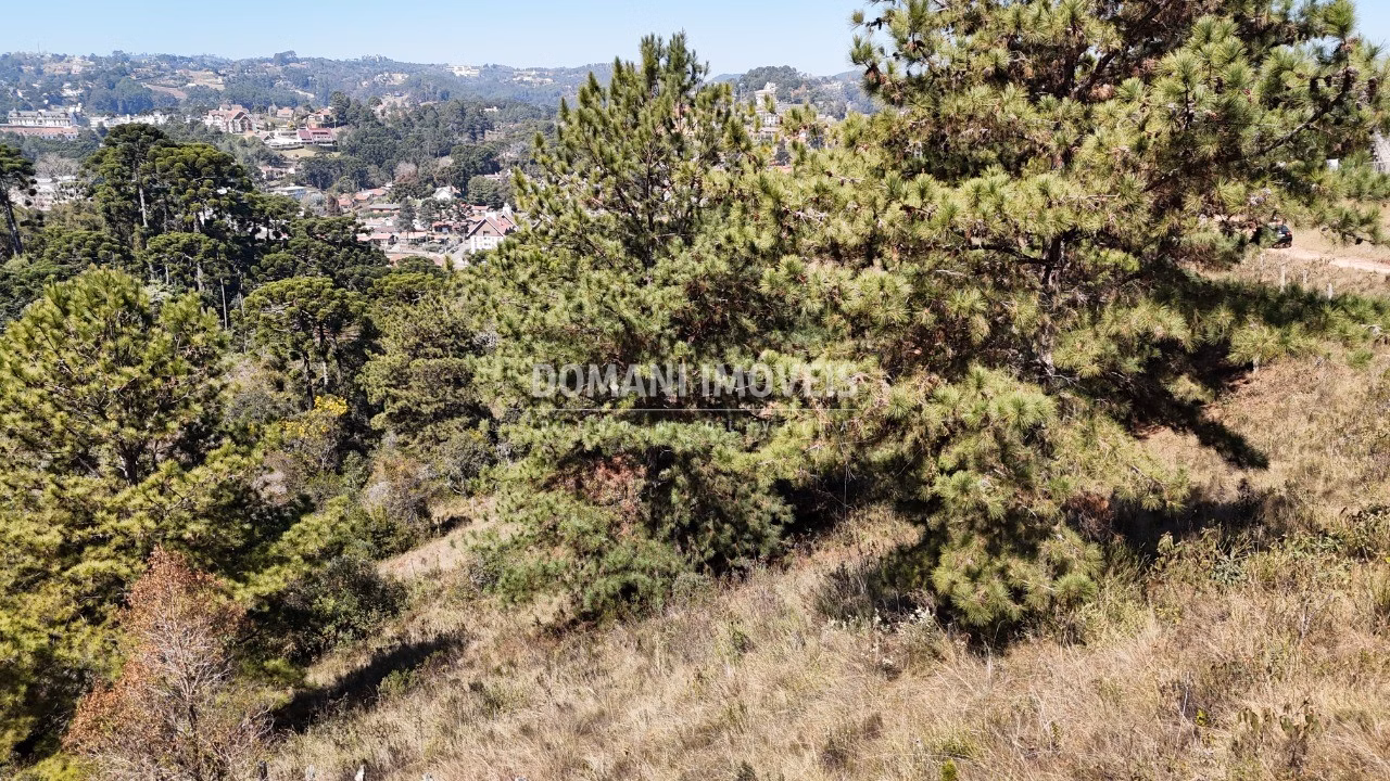 Plot of 1,270 m² in Campos do Jordão, SP, Brazil