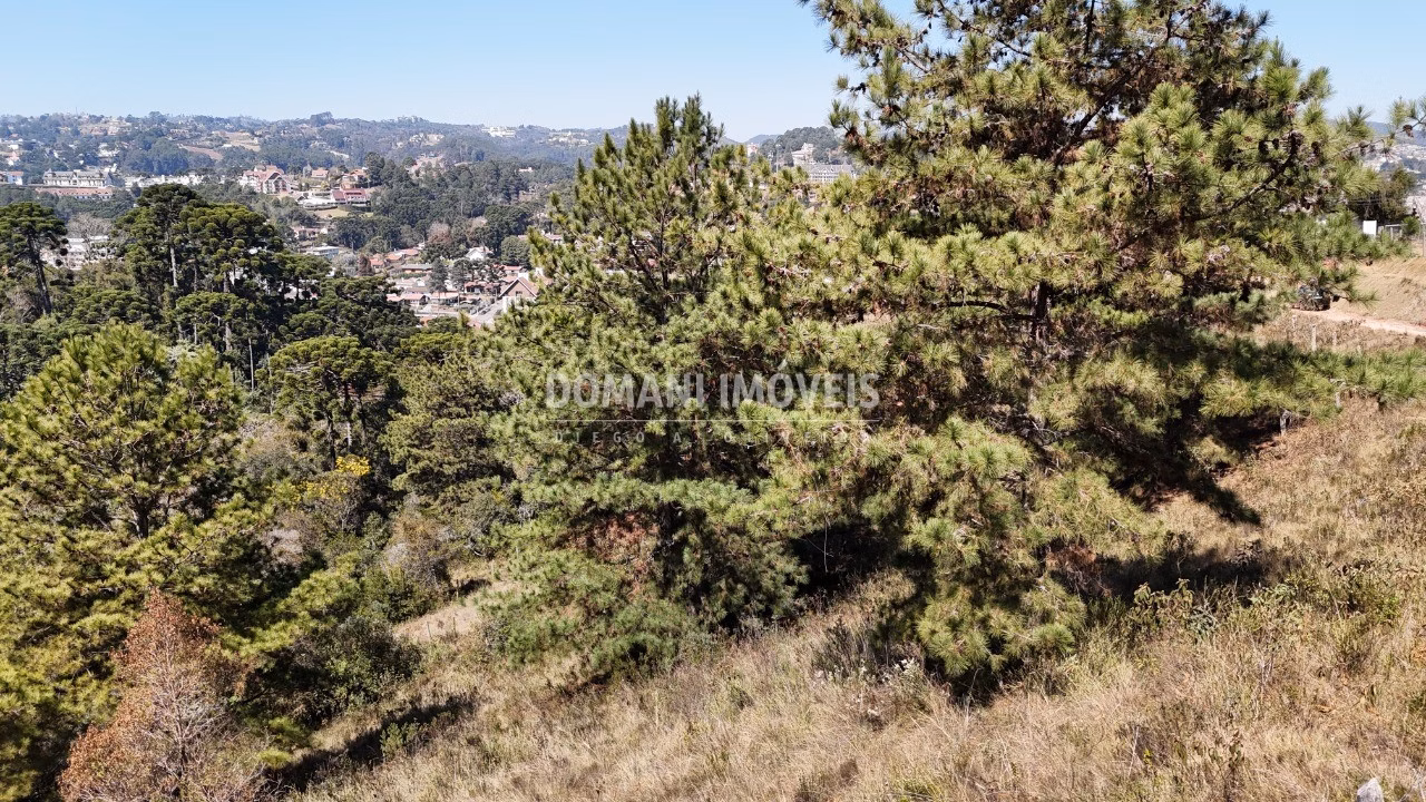 Plot of 1,270 m² in Campos do Jordão, SP, Brazil
