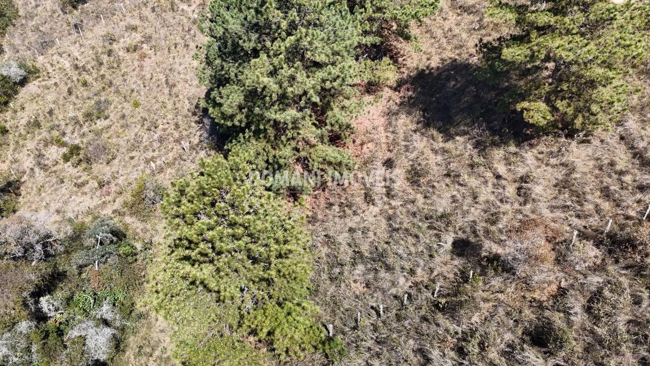 Plot of 1,270 m² in Campos do Jordão, SP, Brazil