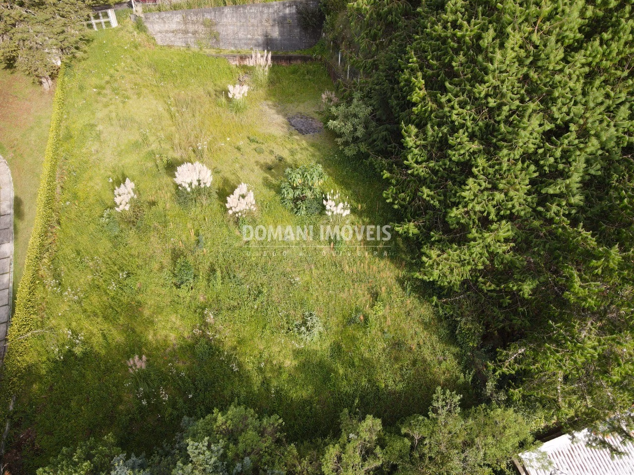 Plot of 1,200 m² in Campos do Jordão, SP, Brazil