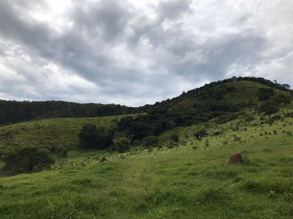 Sítio de 31 ha em Jambeiro, SP
