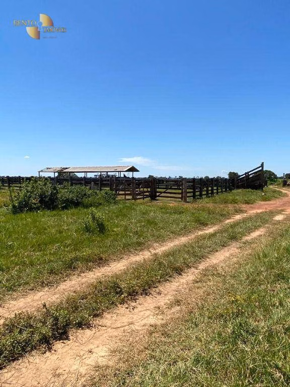 Fazenda de 1.630 ha em Poconé, MT