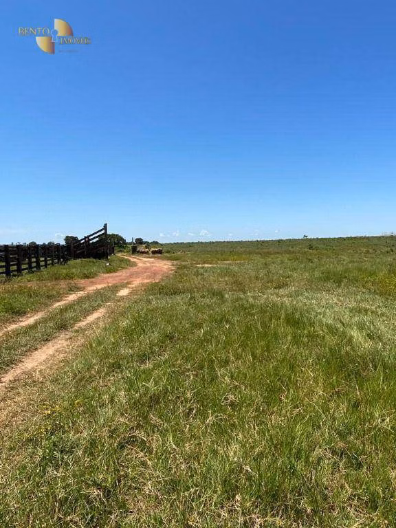 Fazenda de 1.630 ha em Poconé, MT