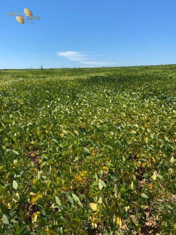 Fazenda de 1.630 ha em Poconé, MT