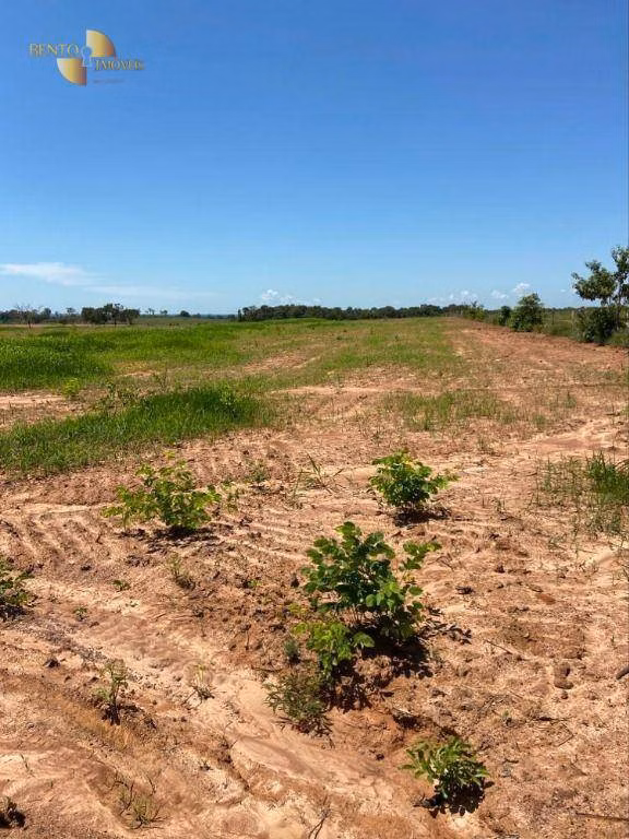 Fazenda de 1.630 ha em Poconé, MT
