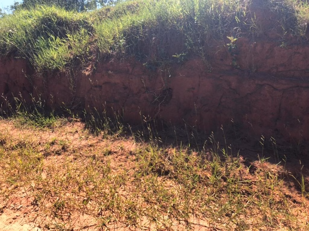 Fazenda de 837 ha em Agudos, SP