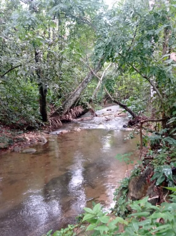 Sítio de 40 ha em Santo Antônio de Leverger, MT