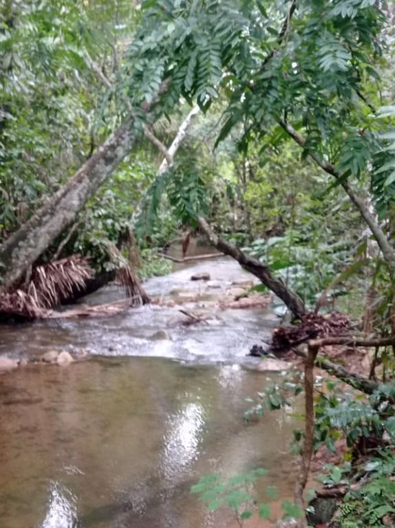 Sítio de 40 ha em Santo Antônio de Leverger, MT