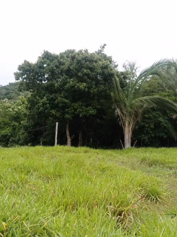 Sítio de 40 ha em Santo Antônio de Leverger, MT
