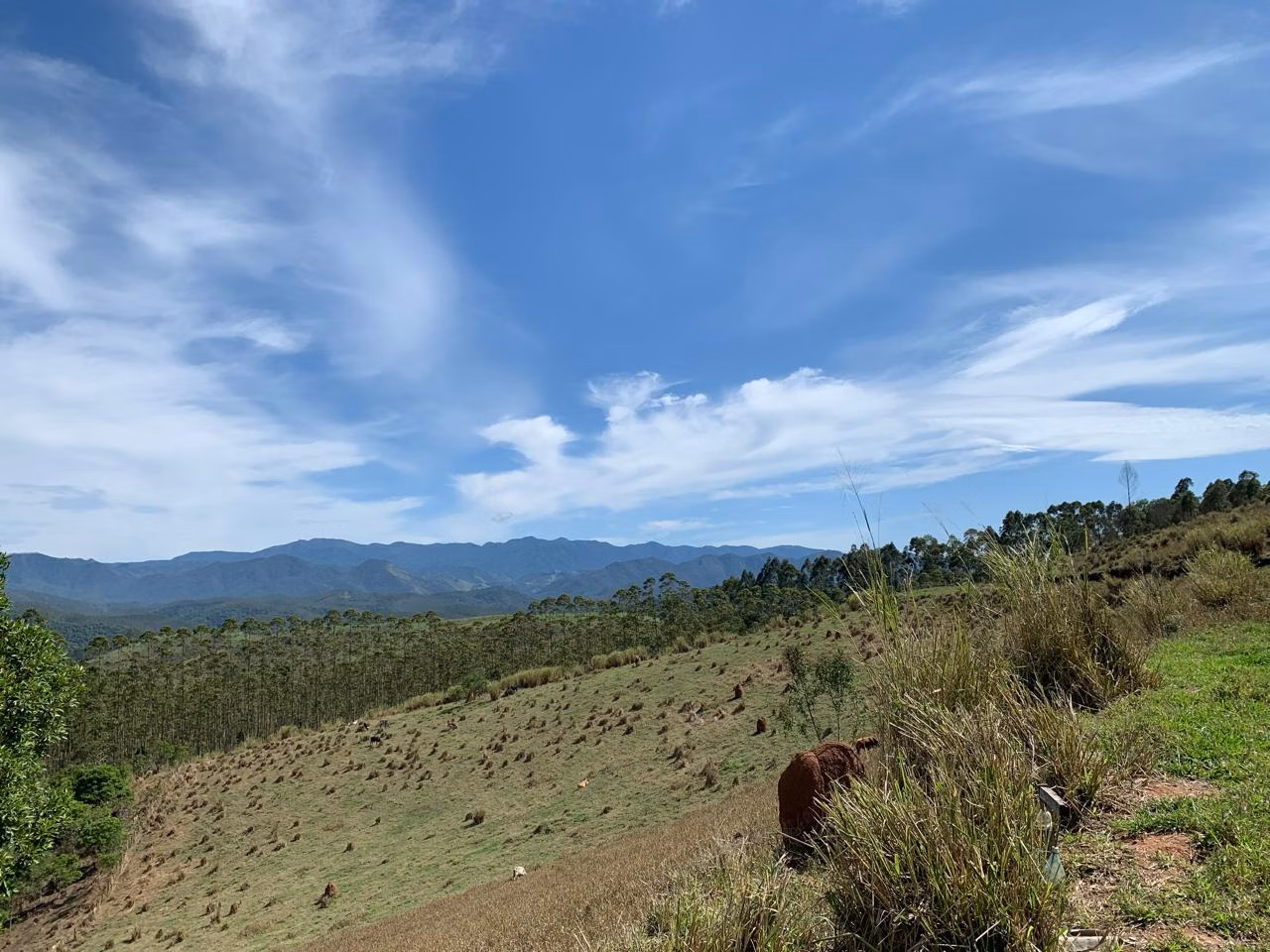 Plot of 9 acres in São José dos Campos, SP, Brazil