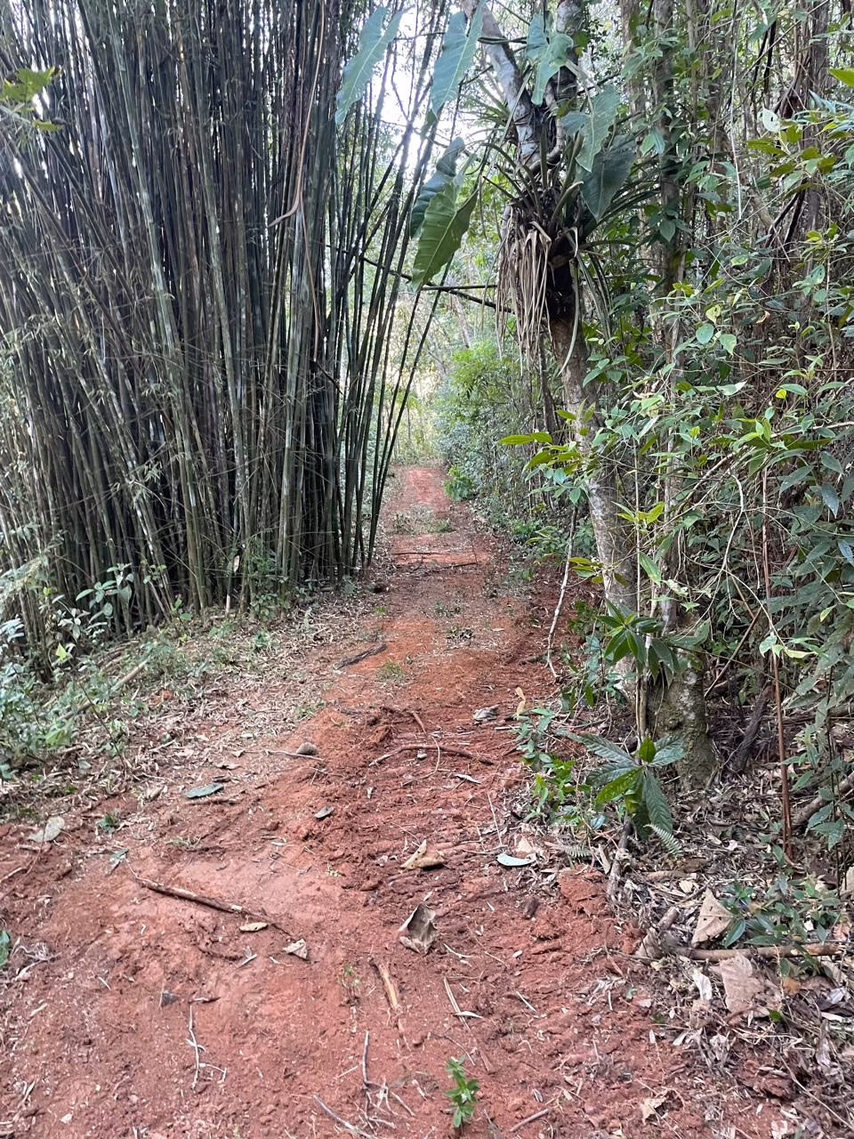 Plot of 9 acres in São José dos Campos, SP, Brazil