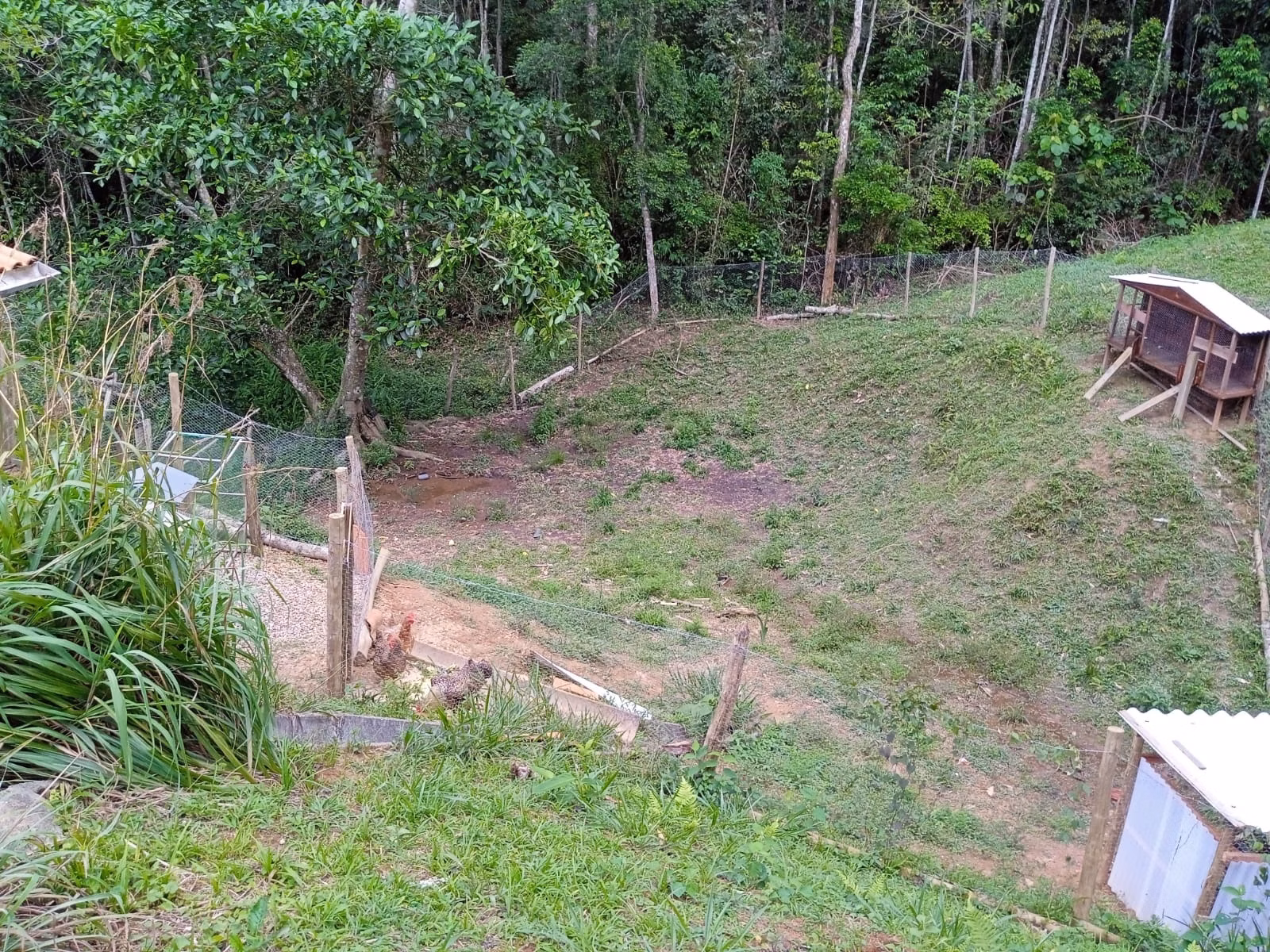 Sítio de 6 ha em Paraibuna, SP