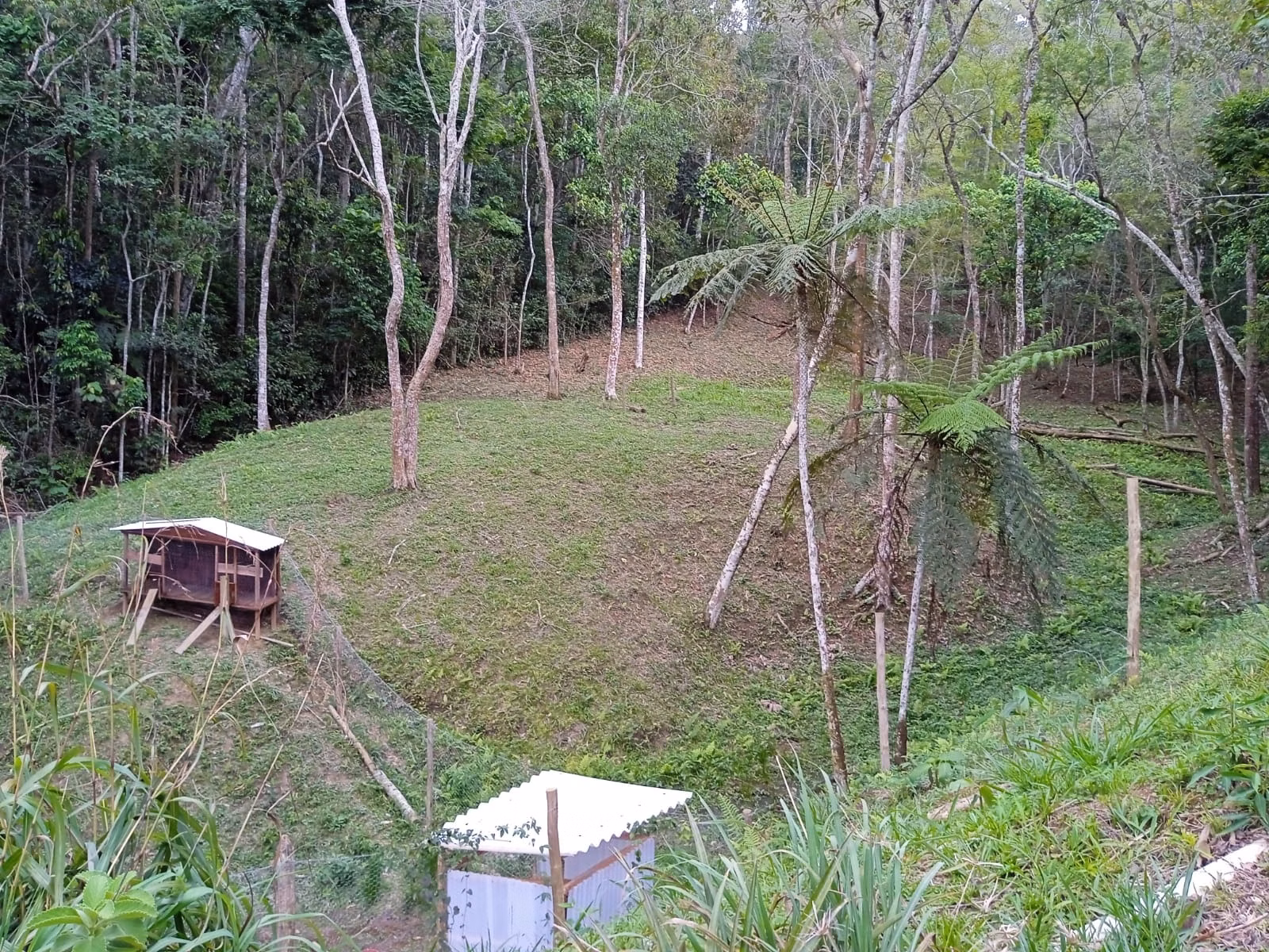 Sítio de 6 ha em Paraibuna, SP