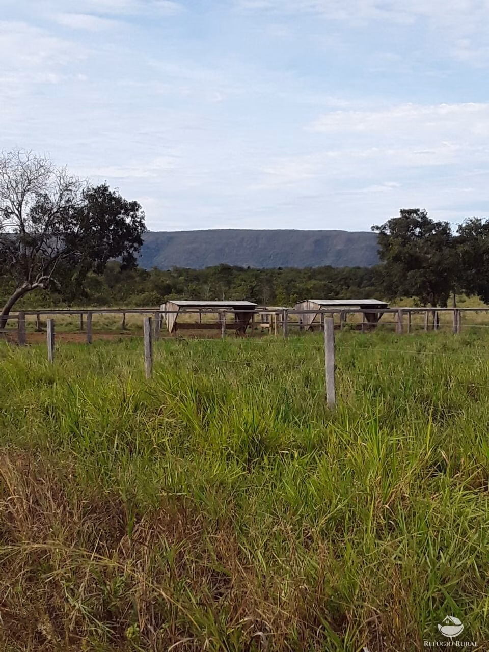 Farm of 18,360 acres in Santa Rita do Trivelato, MT, Brazil
