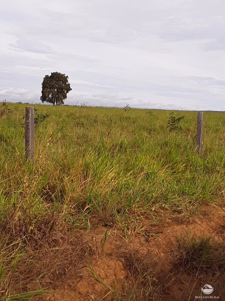 Farm of 18,360 acres in Santa Rita do Trivelato, MT, Brazil