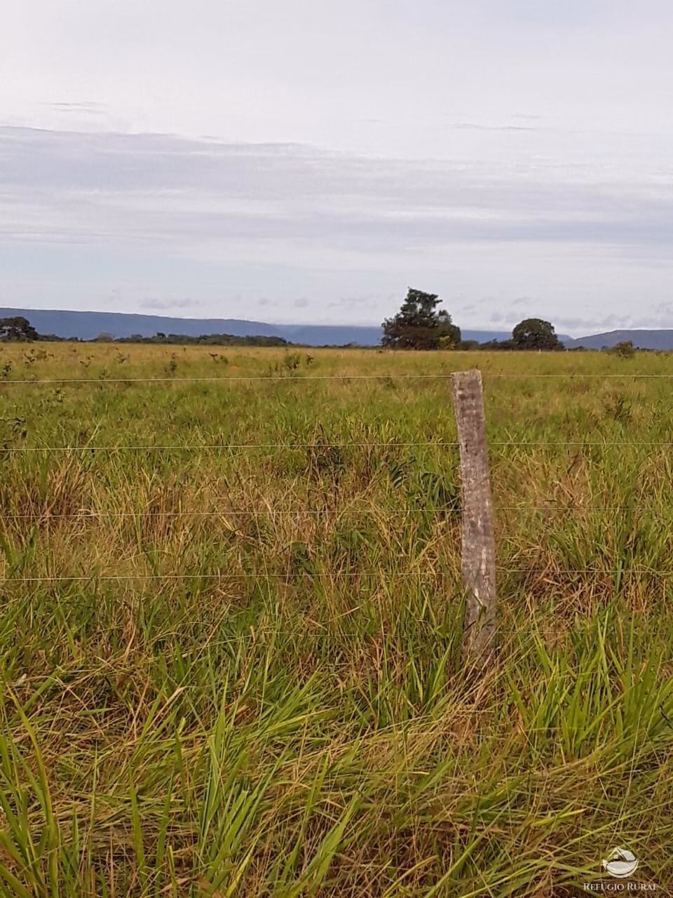 Farm of 18,360 acres in Santa Rita do Trivelato, MT, Brazil