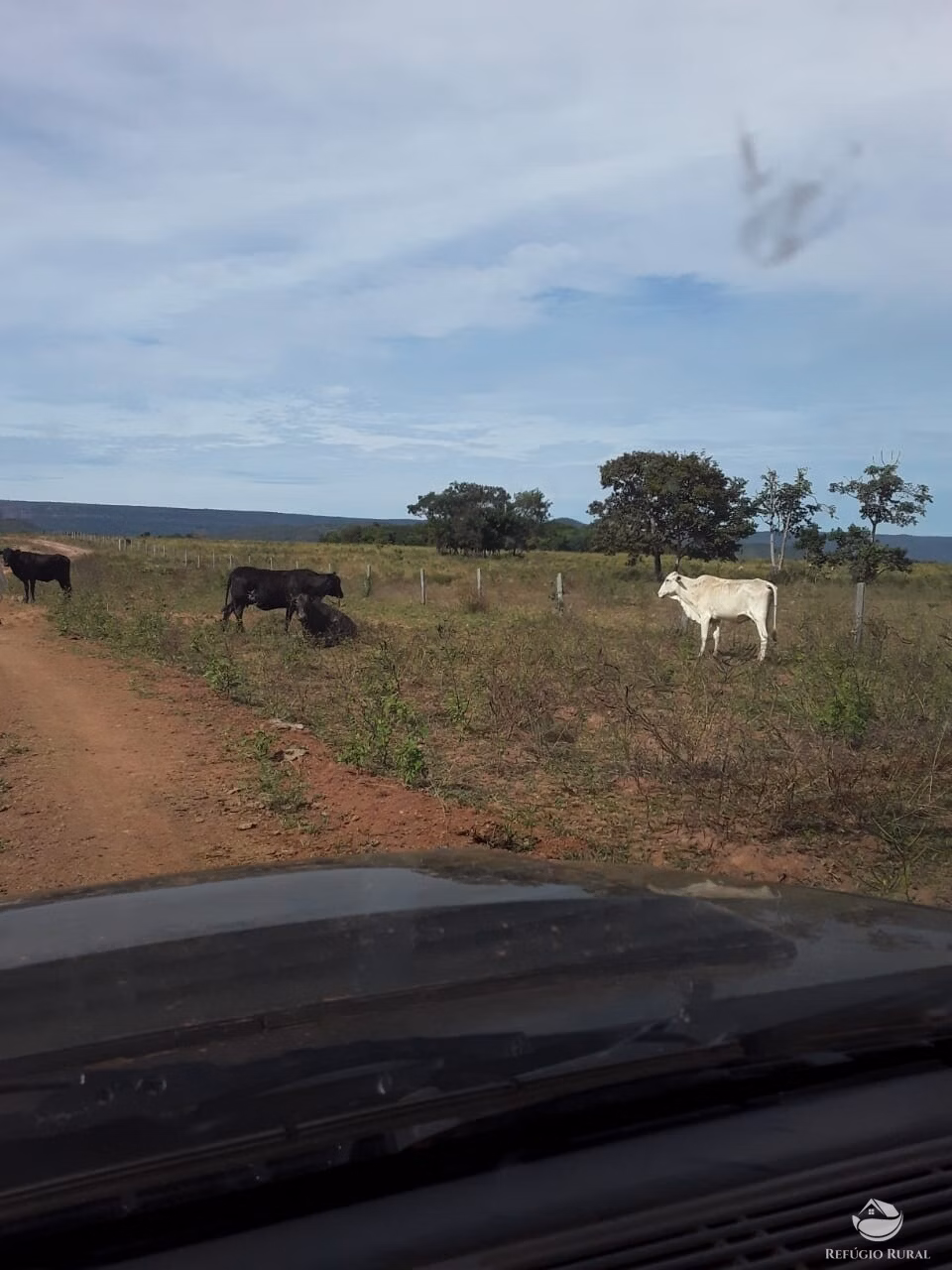 Fazenda de 7.430 ha em Santa Rita do Trivelato, MT