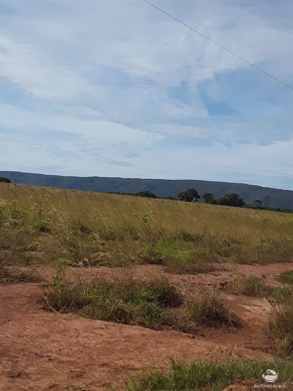 Farm of 18,360 acres in Santa Rita do Trivelato, MT, Brazil