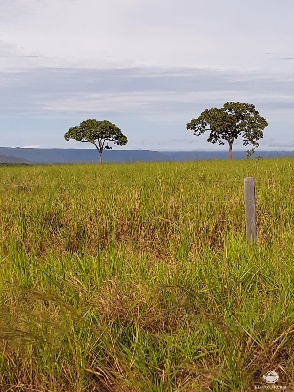 Farm of 18,360 acres in Santa Rita do Trivelato, MT, Brazil