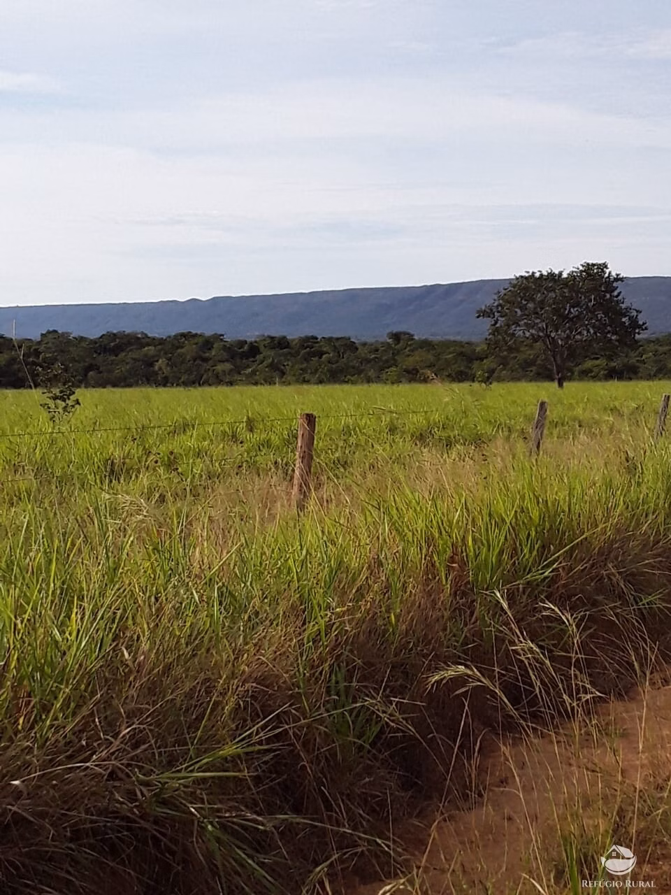 Farm of 18,360 acres in Santa Rita do Trivelato, MT, Brazil
