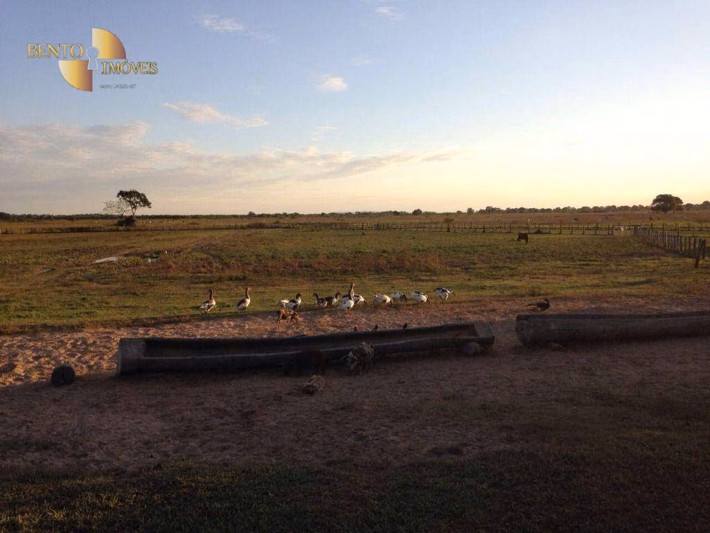 Fazenda de 6.660 ha em Poconé, MT