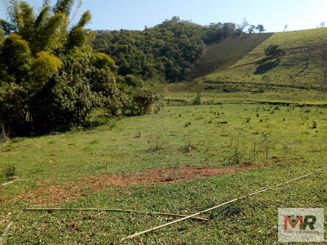Sítio de 48 ha em Cambuí, MG