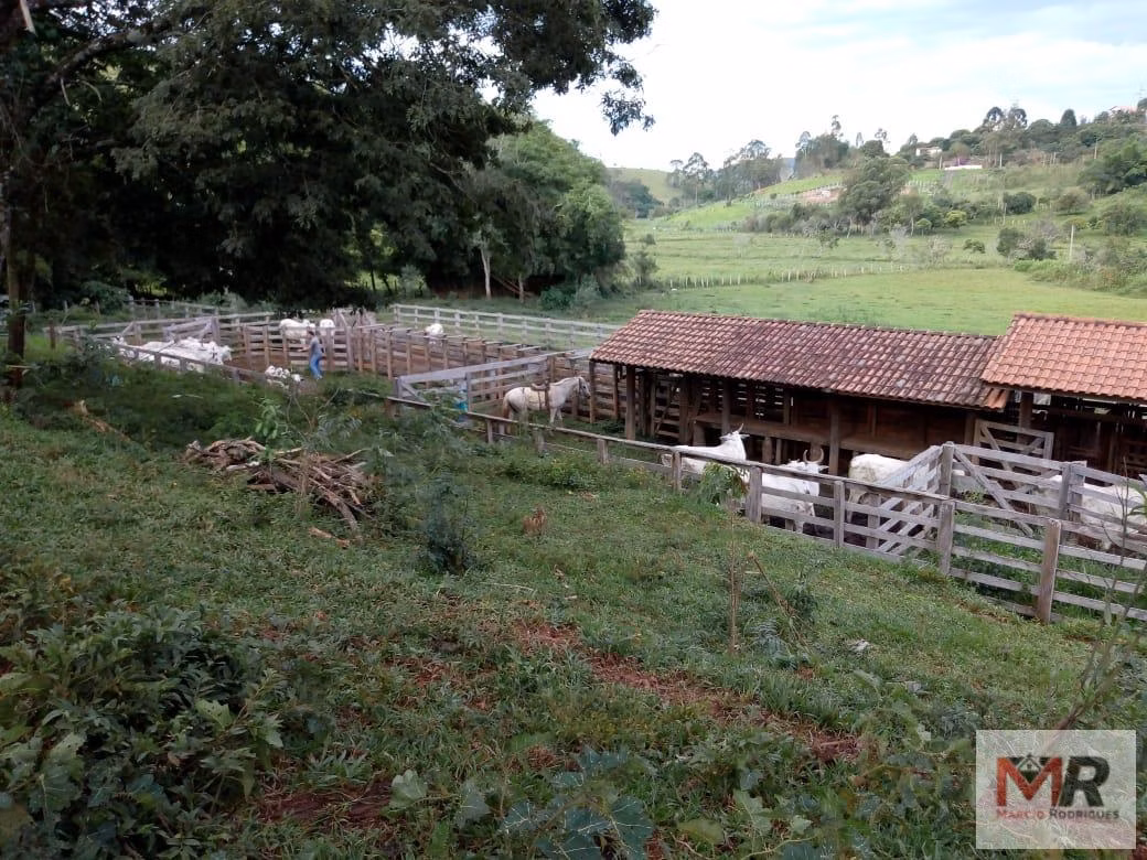 Sítio de 48 ha em Cambuí, MG