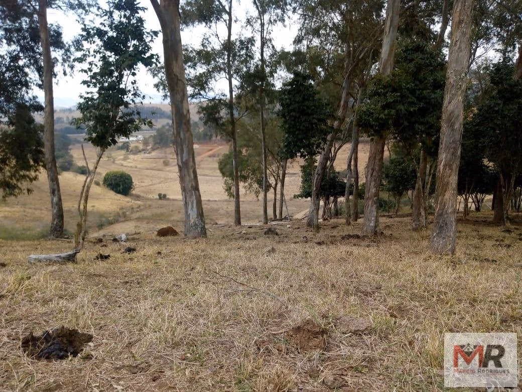 Sítio de 48 ha em Cambuí, MG