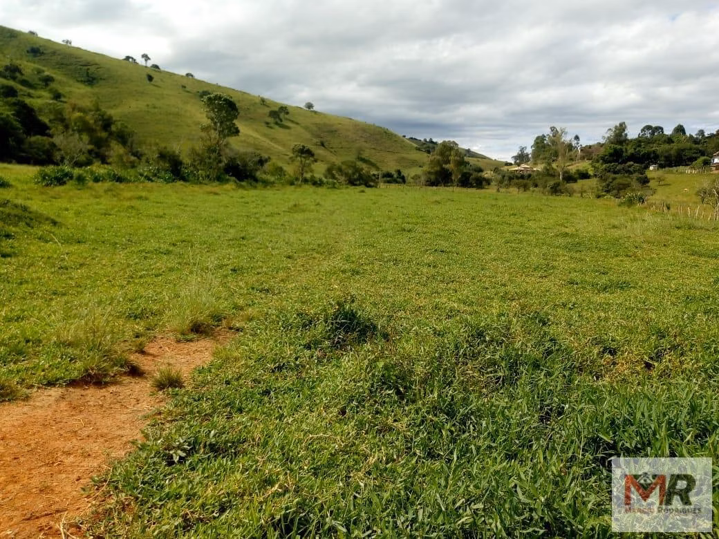 Sítio de 48 ha em Cambuí, MG
