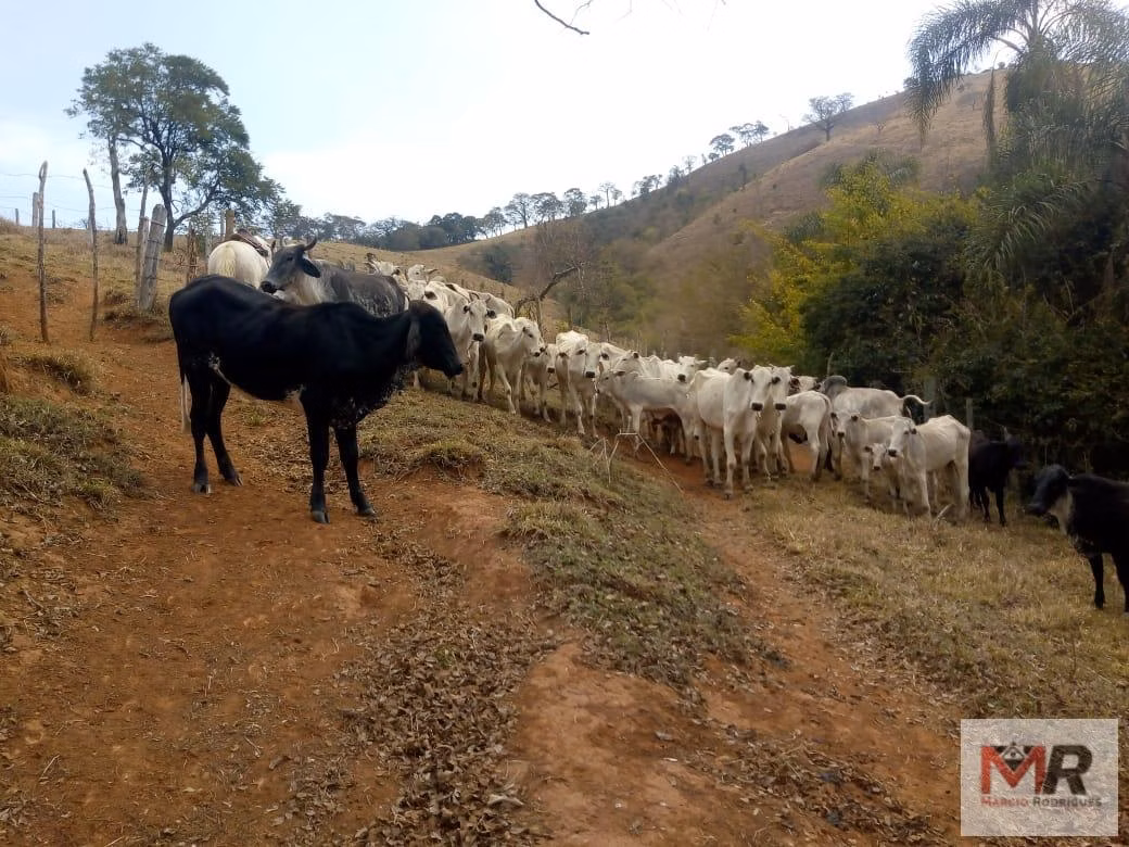Sítio de 48 ha em Cambuí, MG