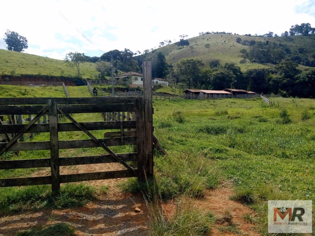 Sítio de 48 ha em Cambuí, MG