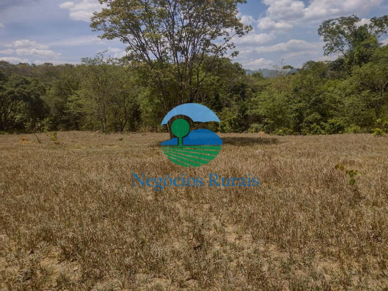 Small farm of 143 acres in Padre Bernardo, GO, Brazil
