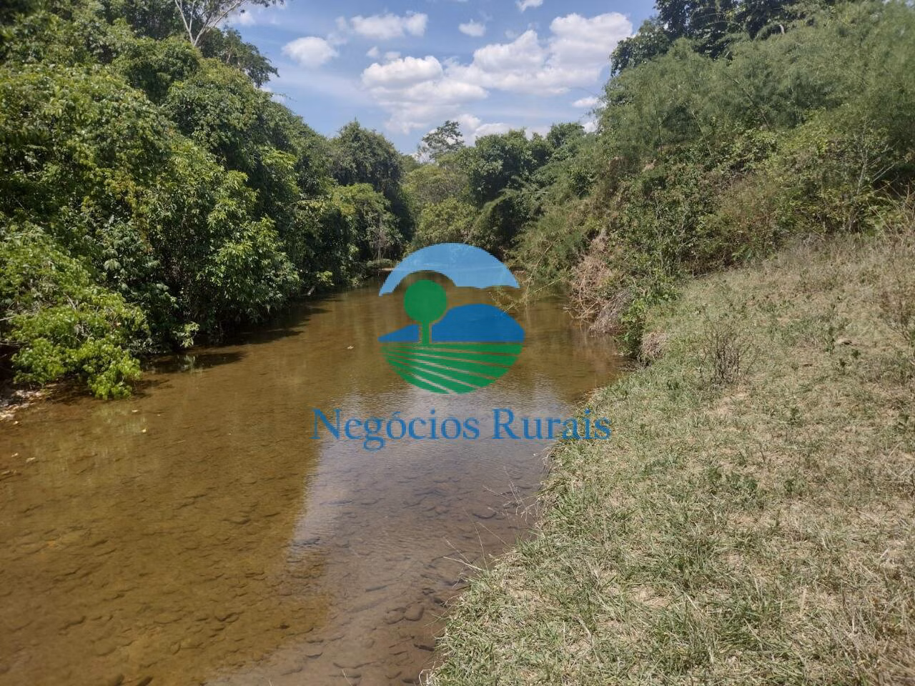 Small farm of 143 acres in Padre Bernardo, GO, Brazil